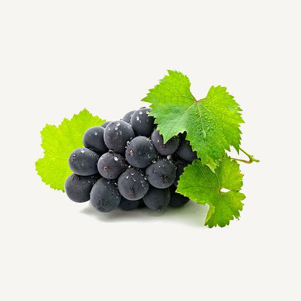 Juicy Grapes