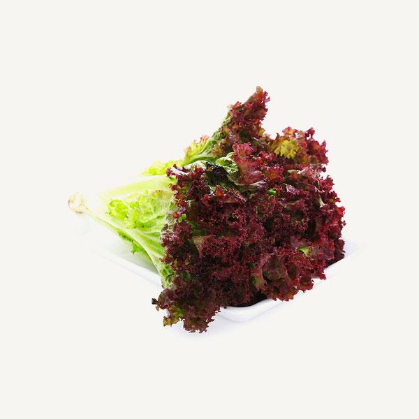 Red Leaf Lettuce
