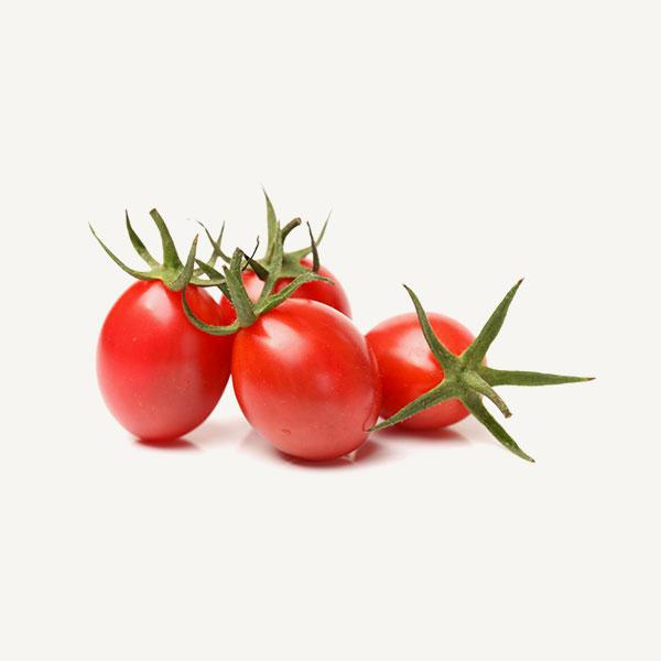 Fresh Tomato