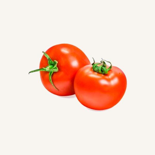 Fresh Tomato